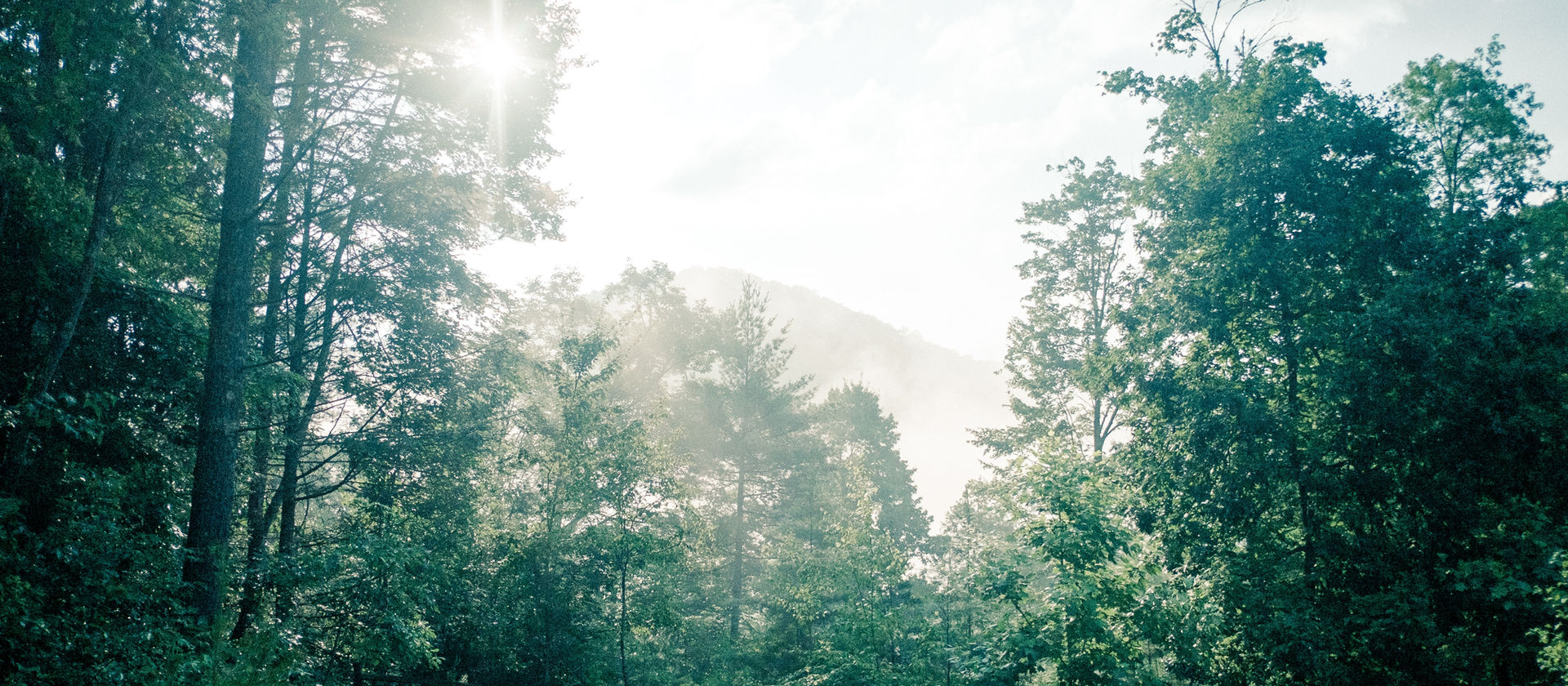 Image by Ben Wilkins