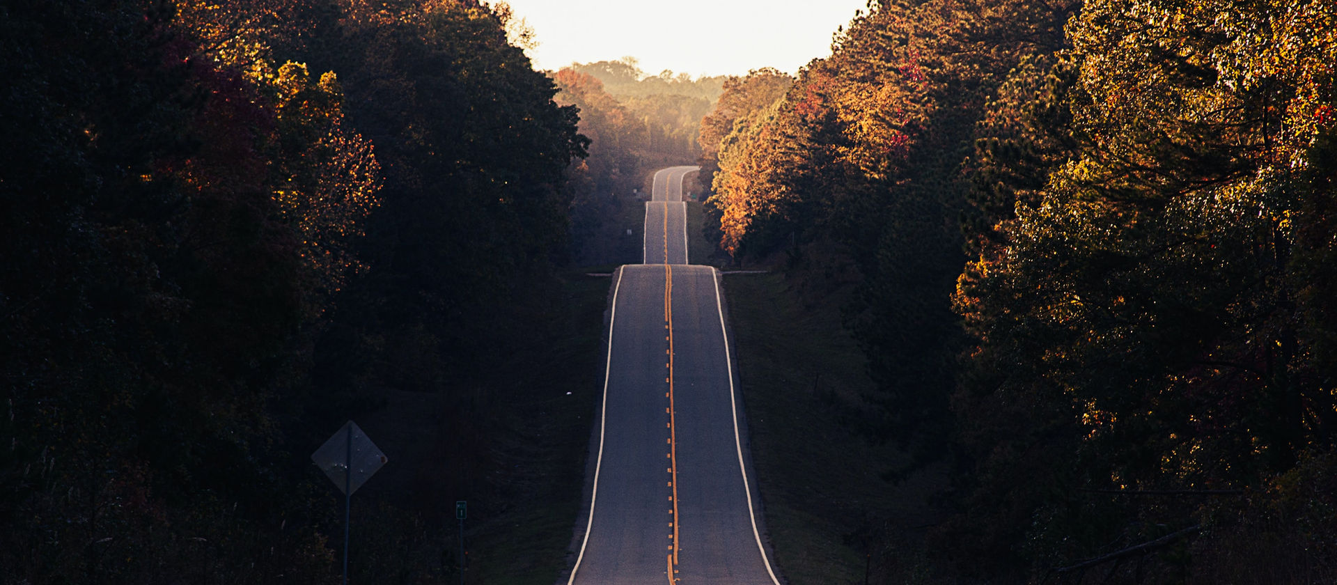 Image by Matt Duncan