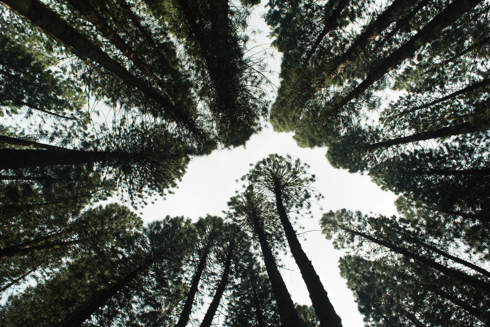 Image by Brian Garrity